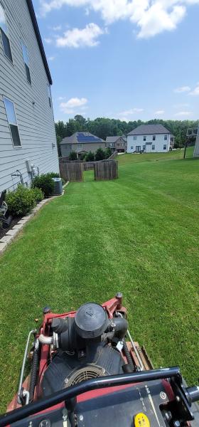 Bluescapes Lawn Care