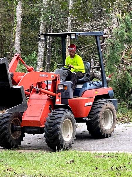 Phil's Expert Tree Service Inc.