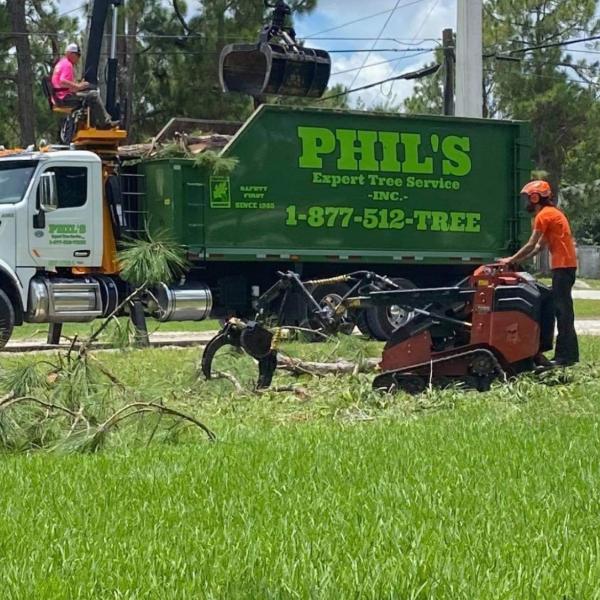 Phil's Expert Tree Service Inc.