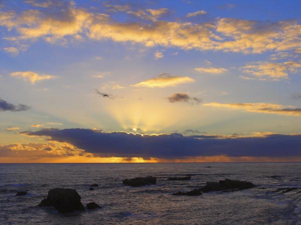 California Coastal Real Estate