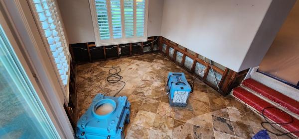 Green Restoration Solutions