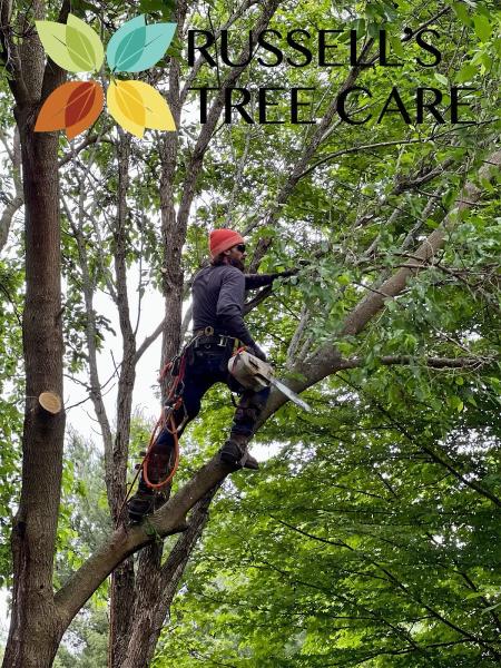 Russell's Tree Care