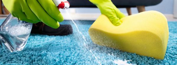 True Gold Carpet Cleaners