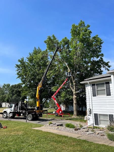 Zalewski Tree Service