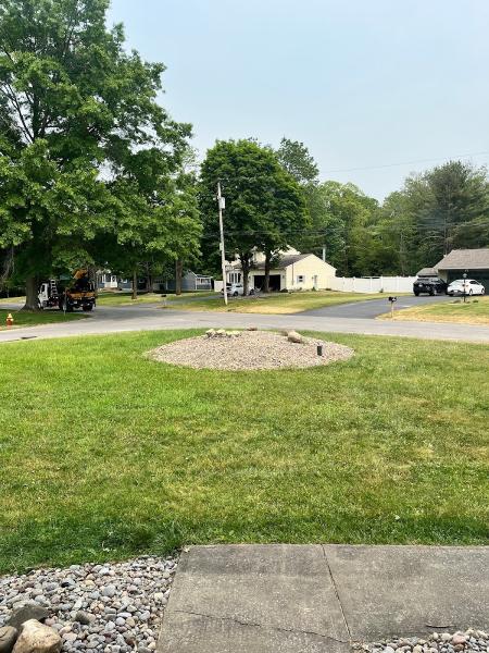 Zalewski Tree Service