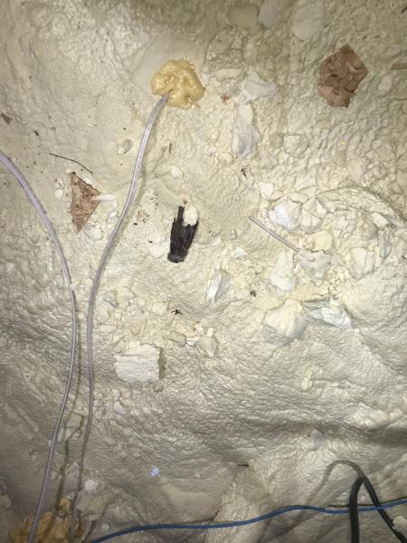 EVS Home Inspections / Rapid Radon Removal