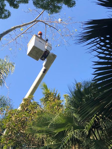 Oak Valley Tree Service Llc.