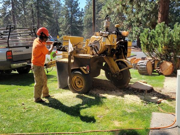 Bend Tree Service