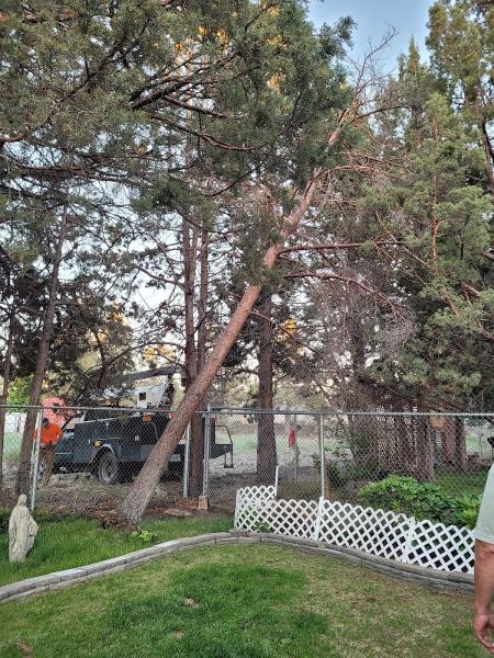 Bend Tree Service