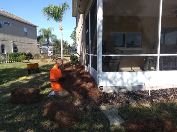 Billy's Tree & Landscaping Service