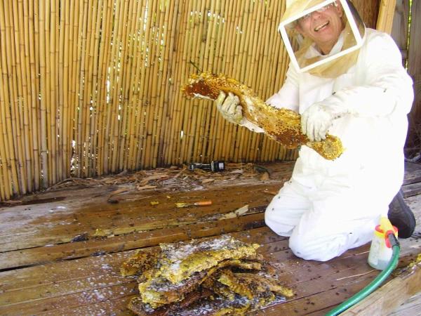 JDA Trappers and Bee Removal