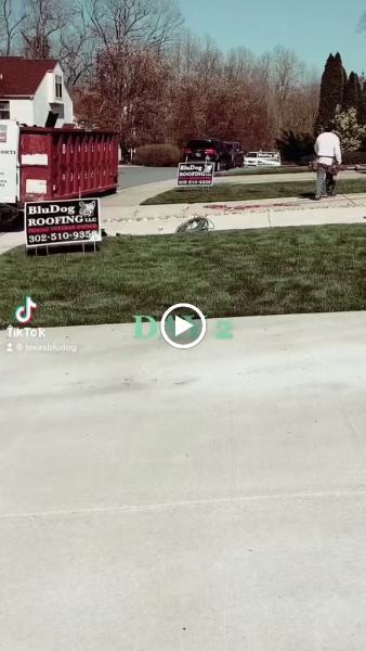 Bludog Roofing