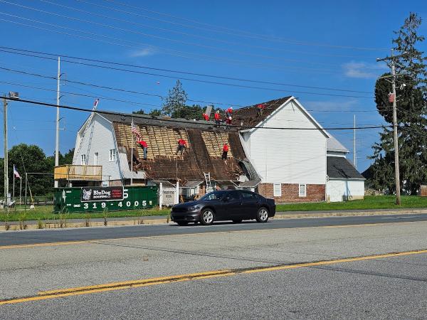Bludog Roofing