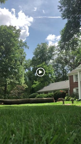 Midwest Tree and Landscaping Service LLC