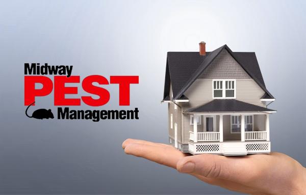 Midway Pest Management LLC