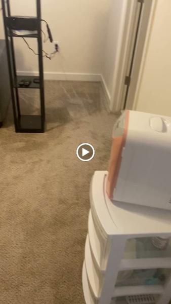 Dom's Moving & Hauling