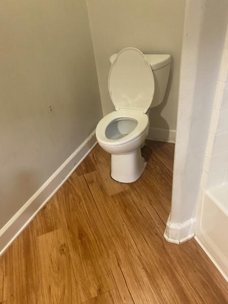 Shinelight Cleaning Services