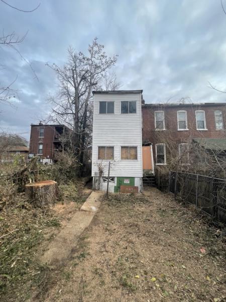 Curious Joe Tree Service