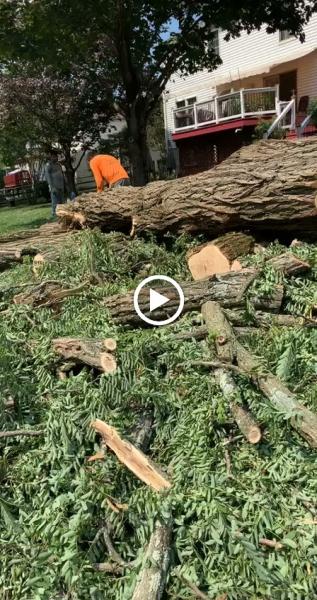 JA Alvarez Landscaping