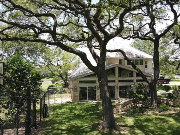 Austin Tree Surgeons