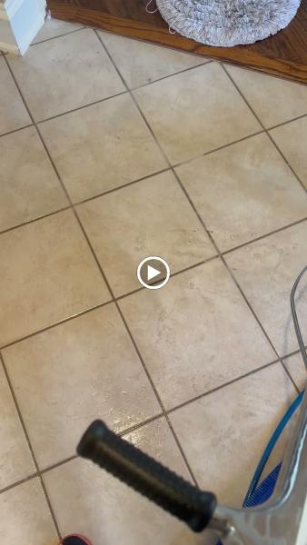 Seven Star Carpet