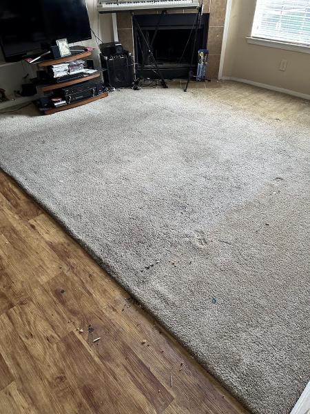 Seven Star Carpet