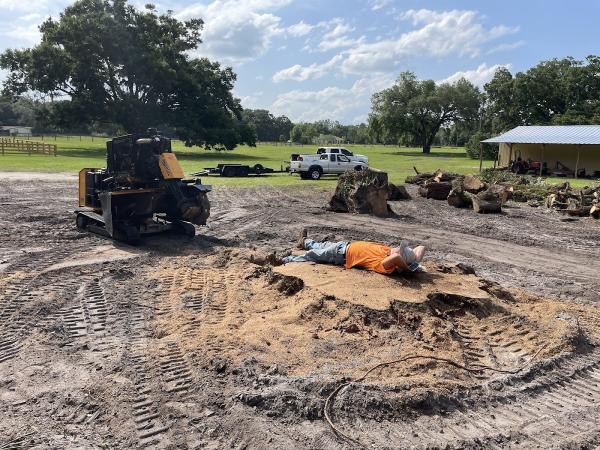 TTS Stump Grinding Services