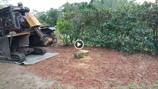 TTS Stump Grinding Services