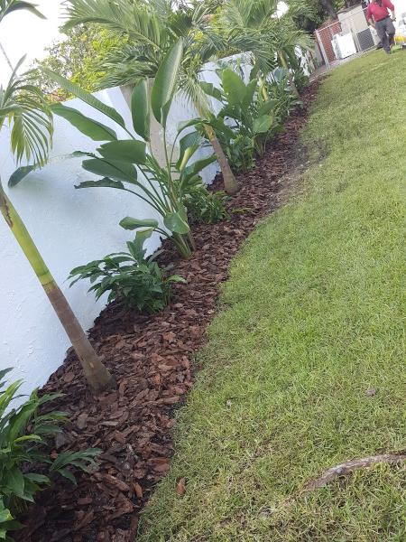 Big All In One Landscape Group