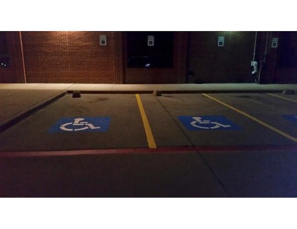 Bear Striping Services