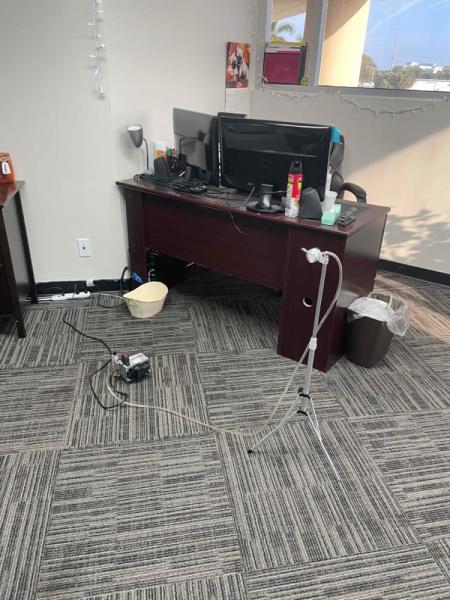 Mold Solutions