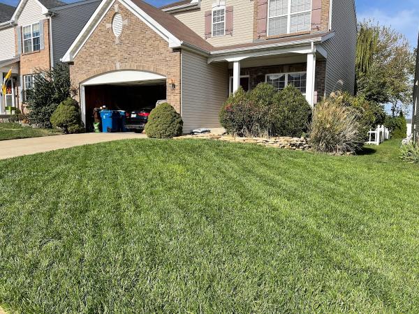 Candid Land Maintenance