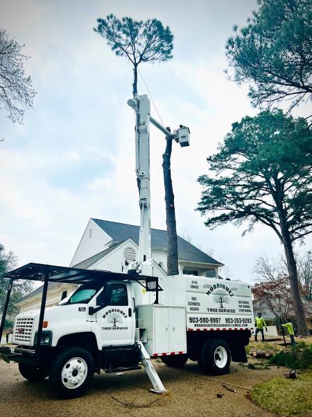 Rodriguez Tree Service