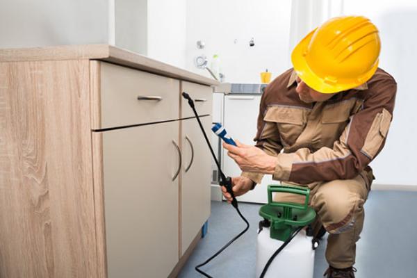 Allied Pest Management