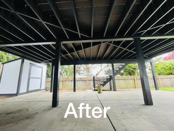 The Pro Painters WA LLC