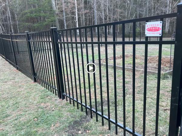 Athena's Fence