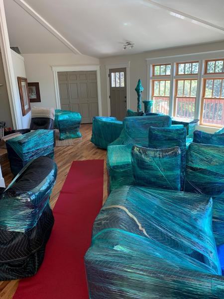 The Moving Pros