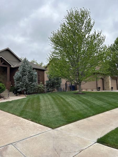 Wichita Lawn Care