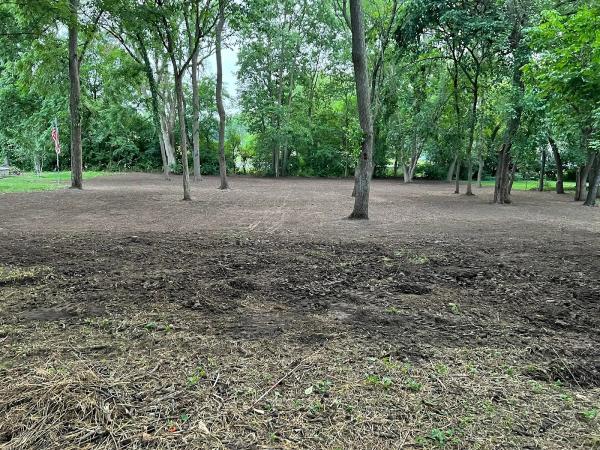 Arellano Landscaping