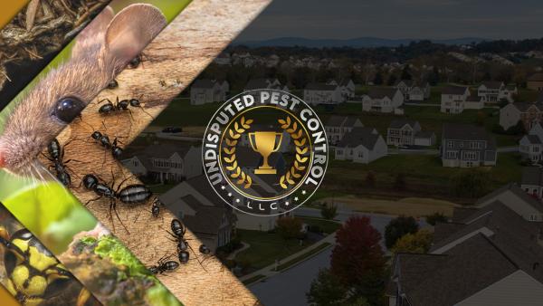 Undisputed Pest Control