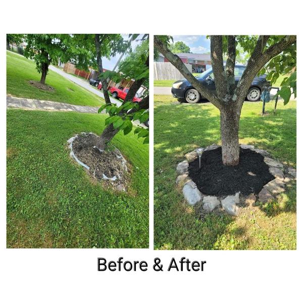 Joker Lawn Care and Landscaping