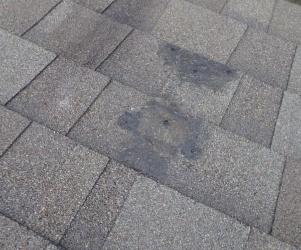 A-Action Home Inspection Houston