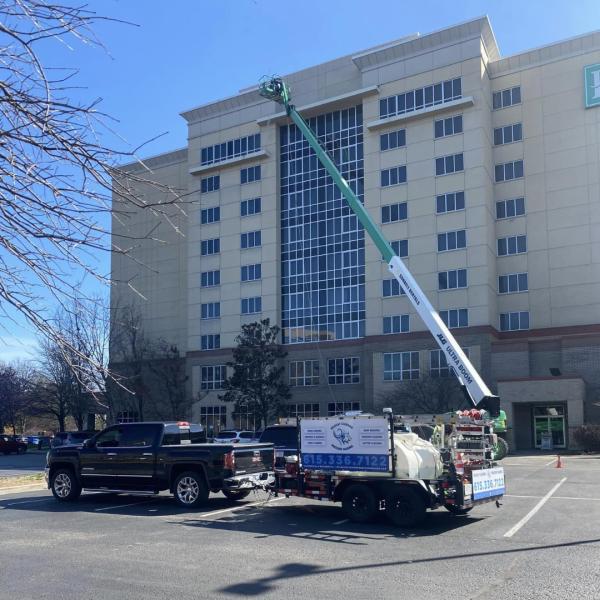 Wildcat Cleaning and Pressure Washing