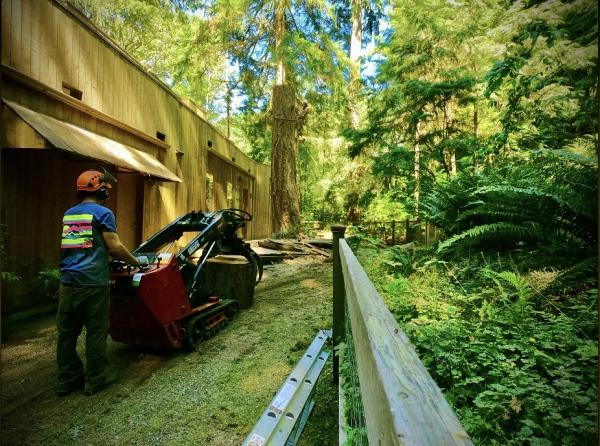 Integral Works Tree Service