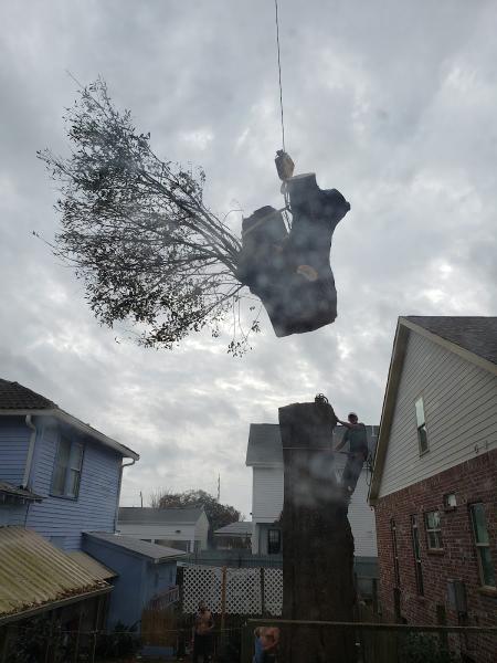 Nick's Crane Rental and Tree Service