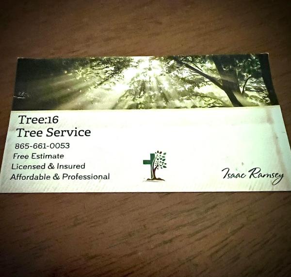 Tree:16 Tree Service