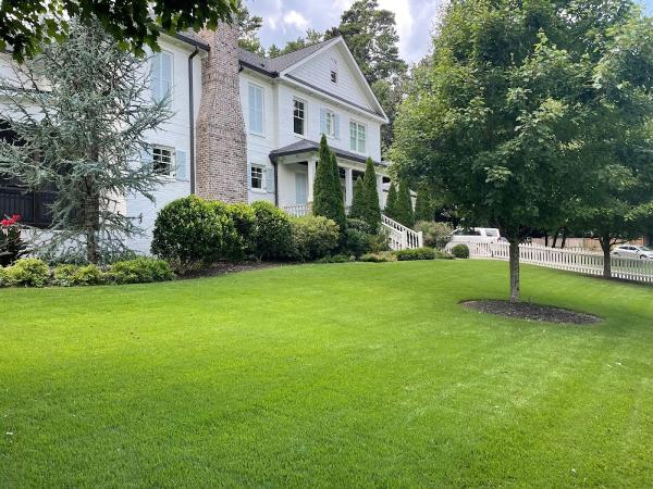 Synergy Landscape Group