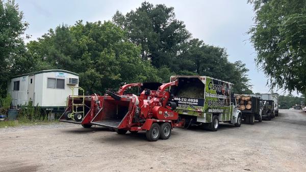 Castor Tree Service & Landscaping LLC