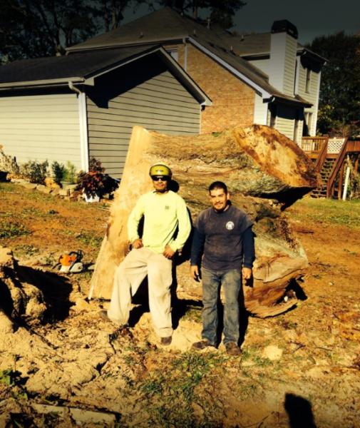 J&R Tree Removal Services