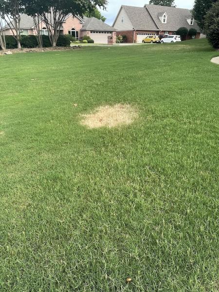 Ultragreen Lawn Service